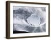 Ice on Jokulsa Beach, Iceland-Nadia Isakova-Framed Photographic Print