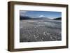 Ice on Lake Yamanaka with Snow-Covered Mount Fuji in Background, Japan-Peter Adams-Framed Photographic Print