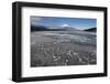 Ice on Lake Yamanaka with Snow-Covered Mount Fuji in Background, Japan-Peter Adams-Framed Photographic Print