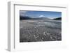 Ice on Lake Yamanaka with Snow-Covered Mount Fuji in Background, Japan-Peter Adams-Framed Photographic Print