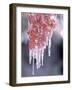 Ice on Smooth Sumac Tree, Bend, Oregon, USA-null-Framed Photographic Print