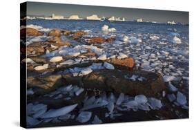 Ice on the Coast with Icebergs in the Distance, Saqqaq, Greenland, August 2009-Jensen-Stretched Canvas