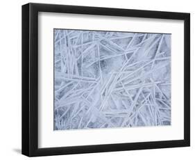 Ice on the edge of a fjord, Lofoten, Norway-Niall Benvie-Framed Photographic Print