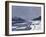 Ice on the Seine at Bougival, circa 1864-69-Claude Monet-Framed Giclee Print