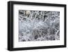 Ice Pattern-Keith Morgan-Framed Photographic Print