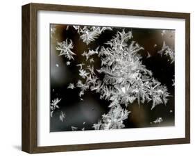 Ice Patterns are Seen on a Frosted Window-null-Framed Premium Photographic Print