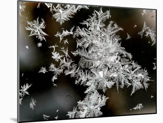 Ice Patterns are Seen on a Frosted Window-null-Mounted Premium Photographic Print