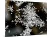 Ice Patterns are Seen on a Frosted Window-null-Mounted Photographic Print