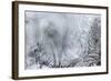Ice Patterns on a Winter Window-abracadabra99-Framed Art Print