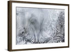 Ice Patterns on a Winter Window-abracadabra99-Framed Art Print