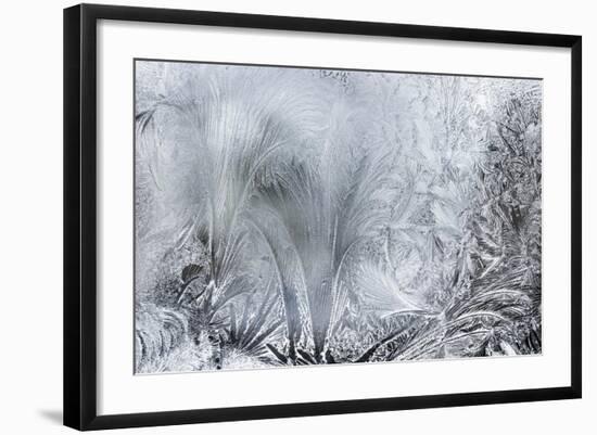 Ice Patterns on a Winter Window-abracadabra99-Framed Art Print