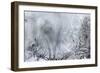 Ice Patterns on a Winter Window-abracadabra99-Framed Art Print