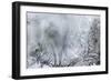 Ice Patterns on a Winter Window-abracadabra99-Framed Art Print