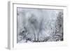 Ice Patterns on a Winter Window-abracadabra99-Framed Art Print