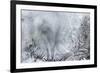 Ice Patterns on a Winter Window-abracadabra99-Framed Art Print