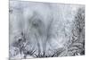 Ice Patterns on a Winter Window-abracadabra99-Mounted Art Print