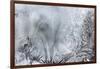 Ice Patterns on a Winter Window-abracadabra99-Framed Art Print