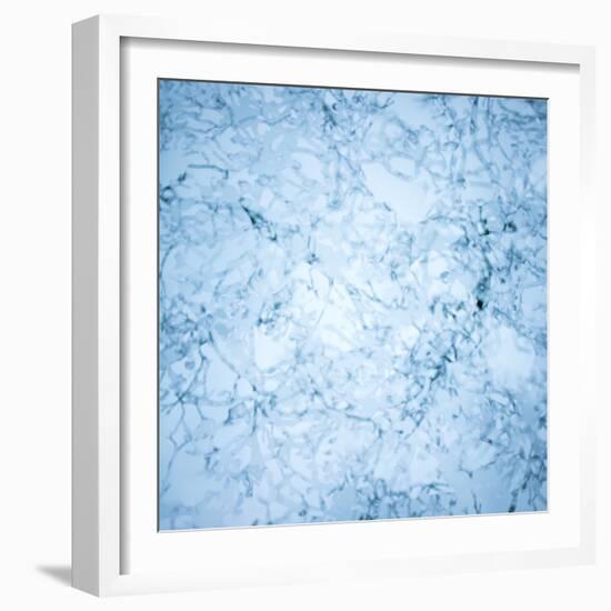 Ice Pearls-Doug Chinnery-Framed Photographic Print