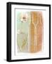 Ice Poppies and Vase-J^ Dreyer-Framed Art Print