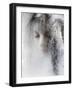 Ice Queen-Jeffrey Hummel-Framed Giclee Print