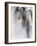 Ice Queen-Jeffrey Hummel-Framed Giclee Print