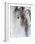 Ice Queen-Jeffrey Hummel-Framed Photographic Print