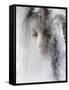 Ice Queen-Jeffrey Hummel-Framed Stretched Canvas