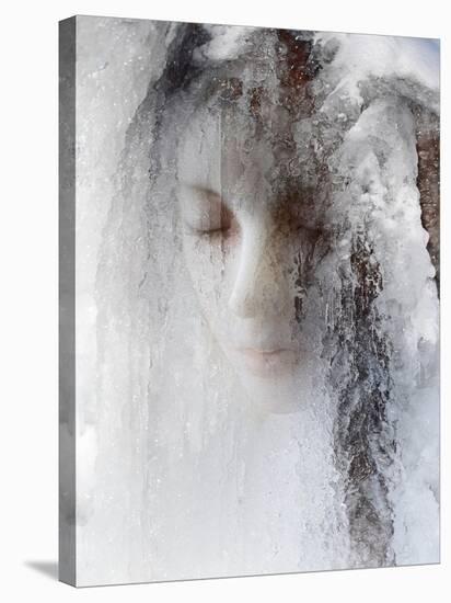 Ice Queen-Jeffrey Hummel-Stretched Canvas