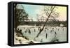 Ice Rink, Indianapolis, Indiana-null-Framed Stretched Canvas