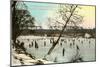 Ice Rink, Indianapolis, Indiana-null-Mounted Art Print