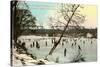 Ice Rink, Indianapolis, Indiana-null-Stretched Canvas