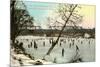 Ice Rink, Indianapolis, Indiana-null-Mounted Premium Giclee Print