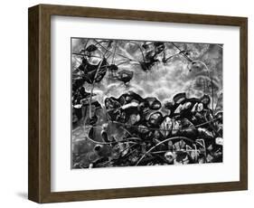 Ice, Rock and Reeds, 1954-Brett Weston-Framed Photographic Print