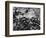 Ice, Rock and Reeds, 1954-Brett Weston-Framed Photographic Print