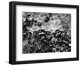 Ice, Rock and Reeds, 1954-Brett Weston-Framed Photographic Print