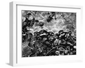 Ice, Rock and Reeds, 1954-Brett Weston-Framed Premium Photographic Print