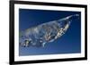 Ice, Saqqaq, Greenland, August 2009-Jensen-Framed Photographic Print