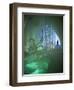 Ice Sculptures, Ice Hotel, Quebec, Quebec, Canada-Alison Wright-Framed Photographic Print