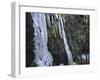 Ice Sculptures-Marcus Lange-Framed Photographic Print