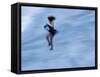 Ice Skater in a Spin-null-Framed Stretched Canvas