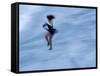 Ice Skater in a Spin-null-Framed Stretched Canvas