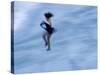 Ice Skater in a Spin-null-Stretched Canvas