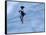 Ice Skater in a Spin-null-Framed Stretched Canvas