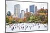 Ice Skaters Having Fun in New York Central Park in Fall-Stuart Monk-Mounted Photographic Print