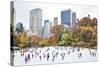 Ice Skaters Having Fun in New York Central Park in Fall-Stuart Monk-Stretched Canvas