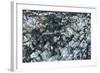 Ice Texture in Hopper Glacier-Kowit.Lee-Framed Photographic Print