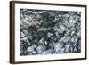 Ice Texture in Hopper Glacier-Kowit.Lee-Framed Photographic Print