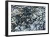 Ice Texture in Hopper Glacier-Kowit.Lee-Framed Photographic Print