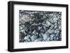 Ice Texture in Hopper Glacier-Kowit.Lee-Framed Photographic Print