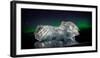 Ice with the Aurora Borealis. Ice Formations Come from the Jokulsarlon Glacial Lagoon-null-Framed Photographic Print